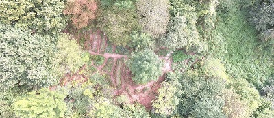 Vue aérienne d'un jardin forêt