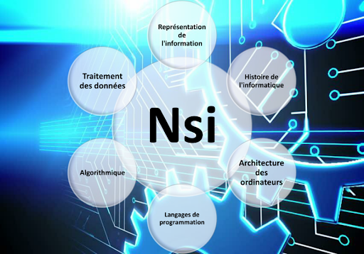 NSI Programme